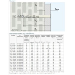 Dybel ramowy wkręt łeb torx ast 10/220mm
