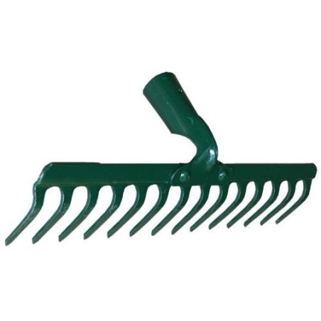 Grabie nieoprawne 10-zębne