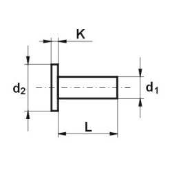 Nit aluminiowy pełny z łbem walcowym 8.0x20 mm