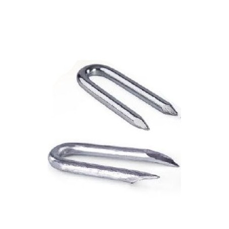 Gwoździe skoble ocynkowane 2.5x25mm