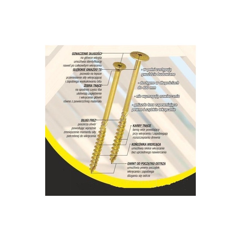 Wkręt do drewna z kołnierzem na torx ocynkowany 6x100mm t30