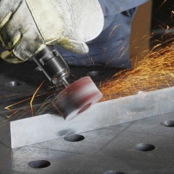 Ściernica trzpieniowa listkowa 03015.06 nk150