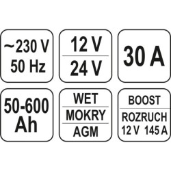 Prostownik elektroniczny z wspomaganiem rozruchu 12/24v 30a
