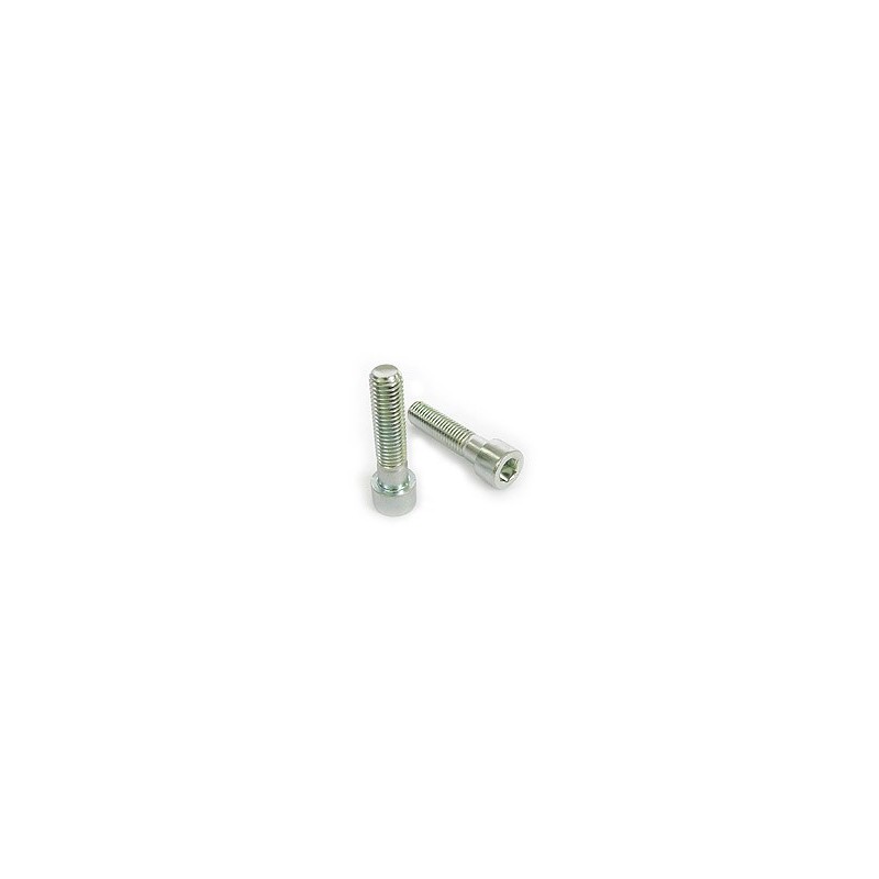 Śruba imbusowa ocynkowana   82302 kl.88 10x25mm