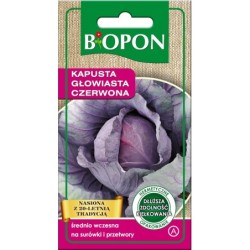 Kapusta głowiasta czerwona 1g