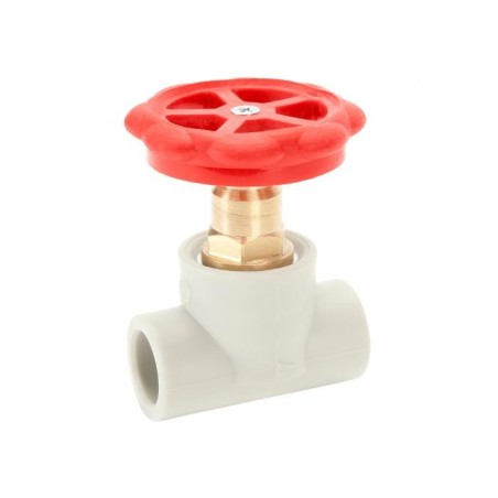 Pp r pn25 zawór prosty, grzybkowy 32mm