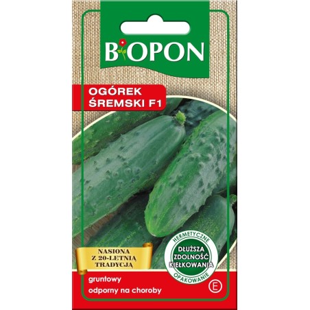 Ogórek śremski f1 4g