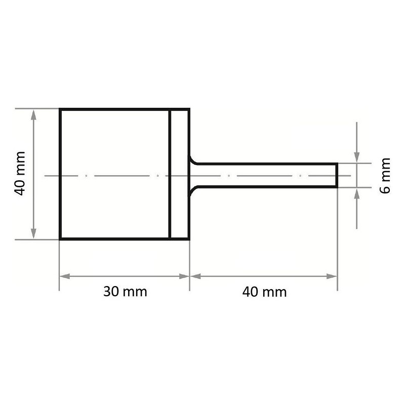 Ściernica trzp. Polerska 'zy' walc. P6ma zy2030.06 sc 46 mwp