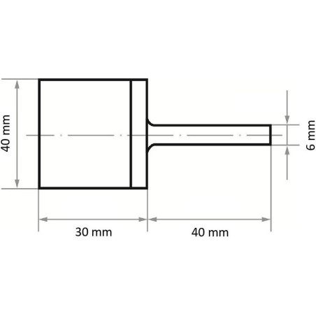 Ściernica trzp. Polerska 'zy' walc. P6ma zy2030.06 sc 46 mwp