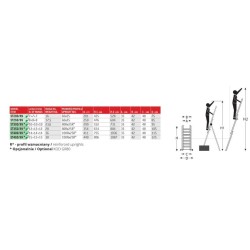 Drabina trzyelementowa 3x15 szczebli st450/3n