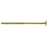 Wkręt do drewna z kołnierzem na torx ocynkowany 6x30mm t30