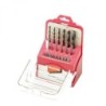 Zestaw wierteł i bitów 21szt.